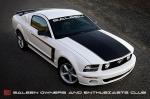 Saleen S281 Heritage Edition 2008 года